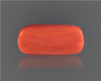 Red Coral Natural Certified 13.81 RTS ( 8161 )